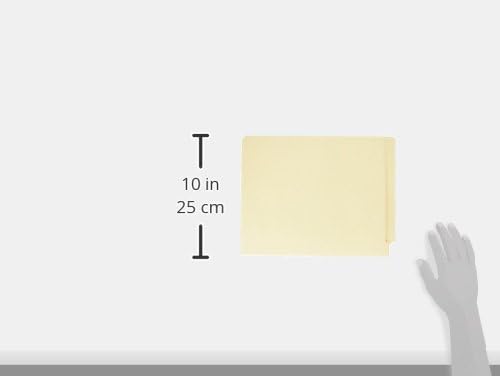 Business Source, BSN17239, 2-Ply End Tab Manila File Folders, 100 / Box, 9 1/2"