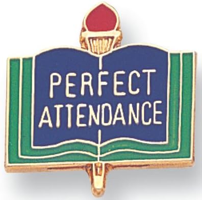 SHOP AWARDS AND GIFTS Academic book Lapel Pins for Student