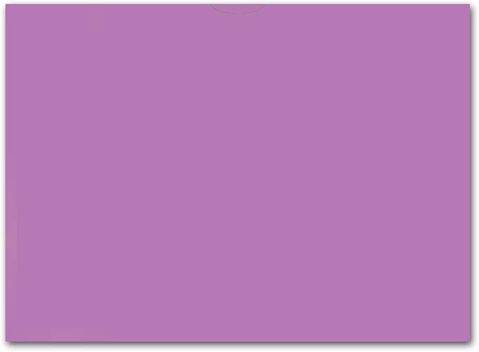 Plain Blank Vehicle Deal Envelopes 9x12 Deal Jackets (100 Shrink Wrapped) (Lavender)