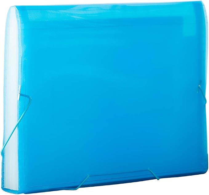 JAM PAPER Accordion Folders - 13 Pocket Plastic Expanding File - Letter Size - 9 x 13 - Blue Grid - 2/Pack