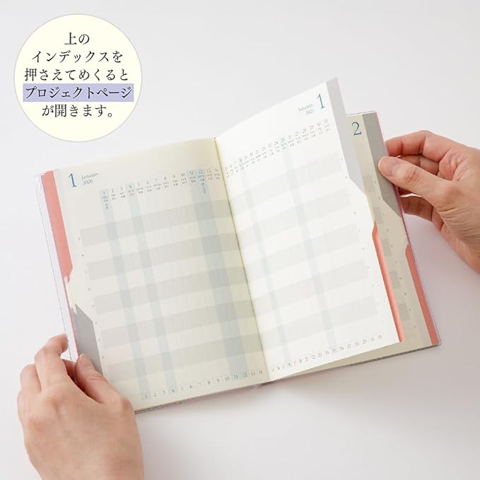 Midori Double Schedule Notebook, 2026, B6, Monthly Limited Edition, Bookmark Included, Progress, Light Pink 22383006 (Starts in October 2025)