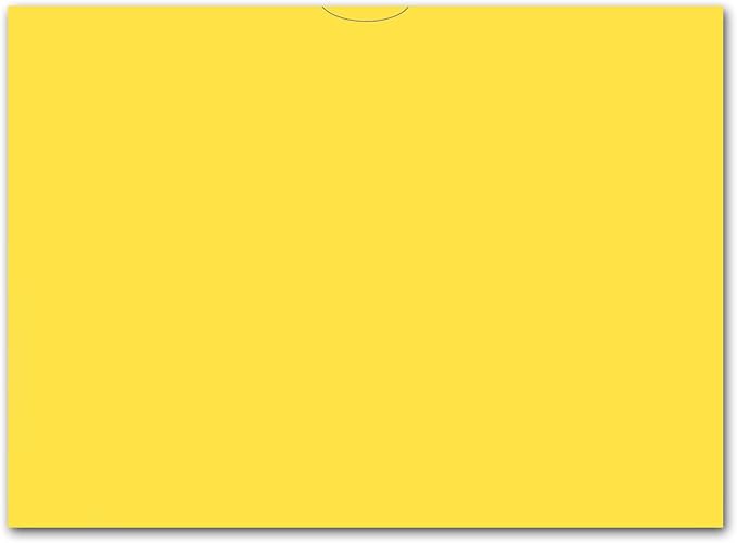 Plain Blank Vehicle Deal Envelopes 9x12 Deal Jackets (100 Shrink Wrapped) (Yellow)