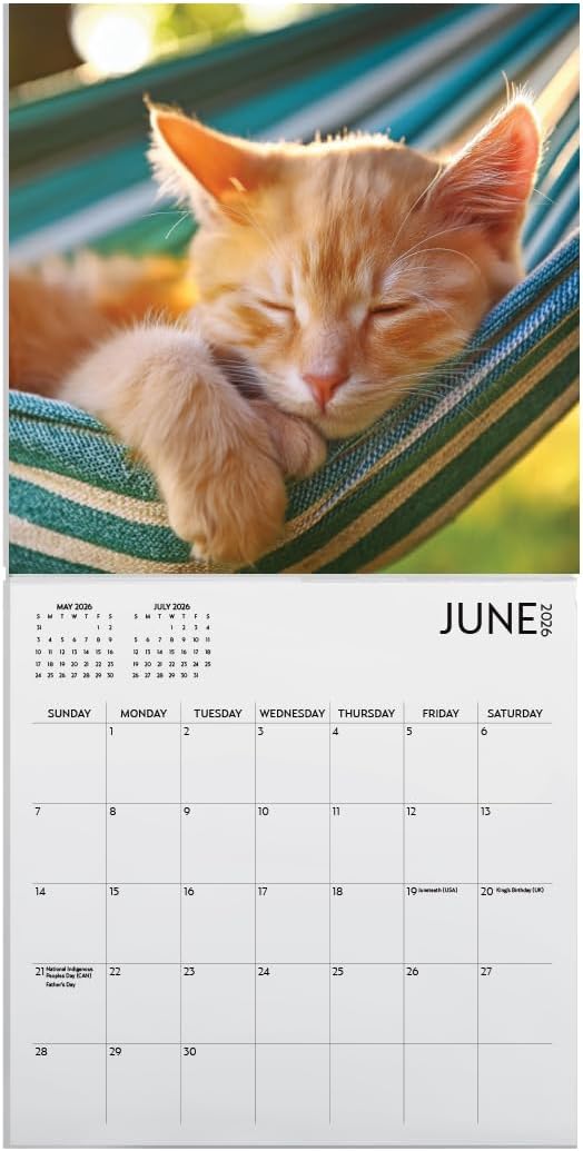 Kitten Calendar 2026, Kitten Square Large Wall Calendar 12 x 12 inch, Yearly Cat Lover's Calendar