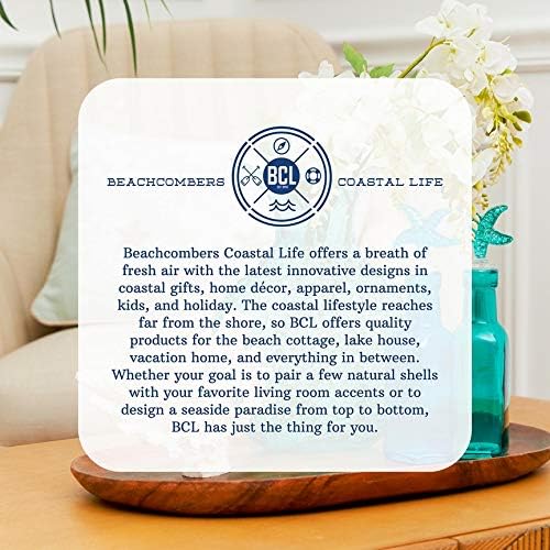 Beachcombers 3" x 4.38" Sun Bathing Lady Beach Themed Small Office Desk Writing Pen Holder All Seasons Life Saving Buoys Fun Cute Small Organizer Organization Decor Decoration Multi