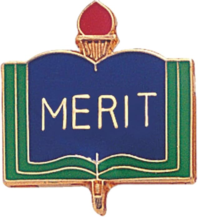SHOP AWARDS AND GIFTS Academic book Lapel Pins for Student