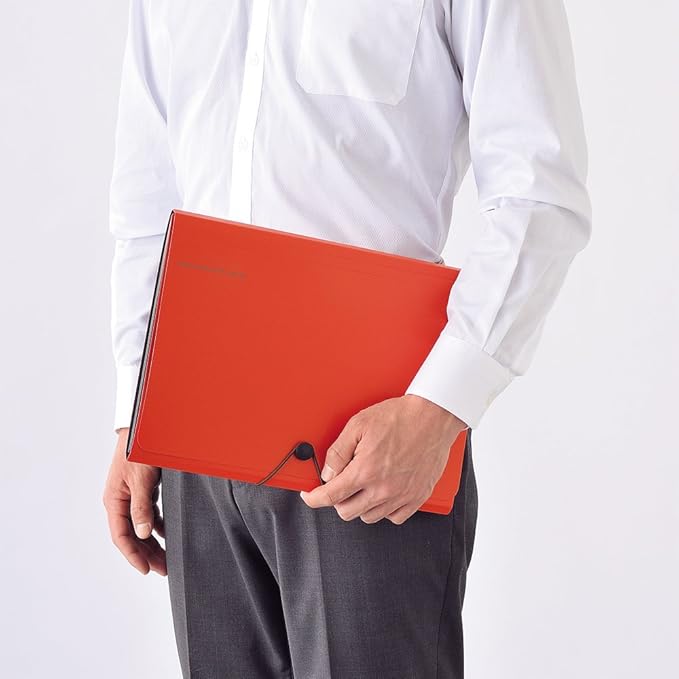 Lihit Lab A7589-24 Carrying Document Smart Fit A4 6 Pocket Black