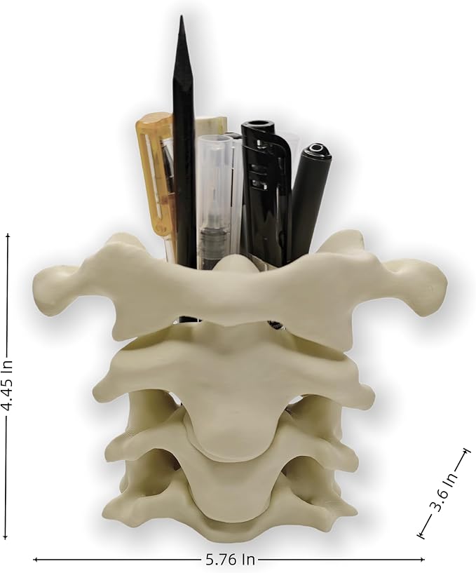 Spine Pen Holder for Desk, Unique Pencil Holder Desk Organizers, Office Supplies Decorations Gift for Doctors, Nurses, Chiropractors