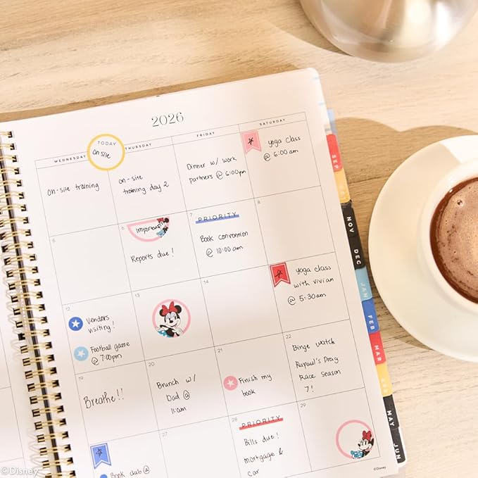 Organized by Happy Planner Disney Dated 12-Month Disc Bound Planner, Jul. 2026–Jun. 2027, Big Size, Dashboard Layout, Twin-Loop Binding, 3 Extra Months, 1 Sticker Sheet, 8.5" x 11", Bright Day Check Mickey