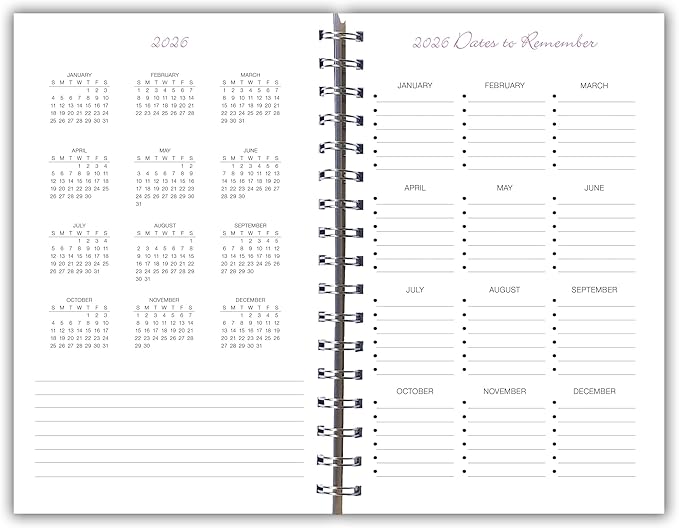 Cat Naps 2026 Weekly & Monthly Planner, 12-Month Engagement Calendar: 2026