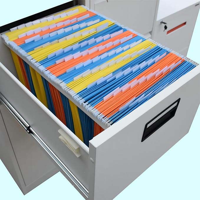 File Folder Tabs, Insertable Plastic Tabs Hanging Folder Tabs,100 Pcs Hanging File Folder Tabs with 200Pcs Inserts for Hanging Folders (Multicolor)