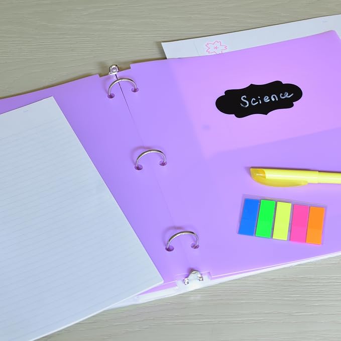 Youngever 6 Pack Heavy Duty Plastic Two Pocket Folders, Binder Dividers with Pocket, 3 Hole Punch Folder with Notches, Binder Folders (Mauve)