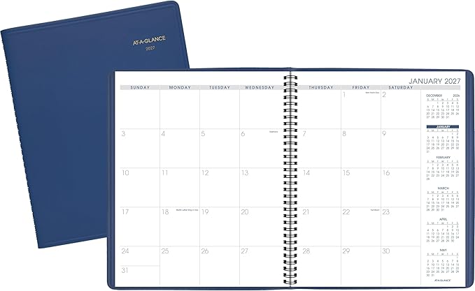 AT-A-GLANCE 2027 Planner, Monthly, 15-Month Jan-Mar, 9" x 11", Unruled Daily Blocks, Blue (702502027)