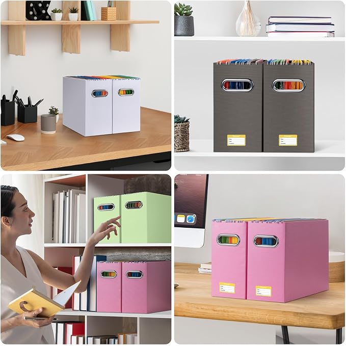 BALEINE File Organizer Box, Cardboard File Folder Organizer with Handle for Letter Size, Portable Collapsible Hanging Filing Box for Home Office Document Storage (2 Pack, Brown)