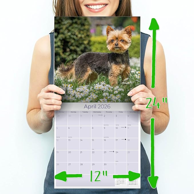 Yorkshire Terrier Calendar 2026 by MegaCalendars – Monthly Dog Breed Wall Calendar, Made in USA