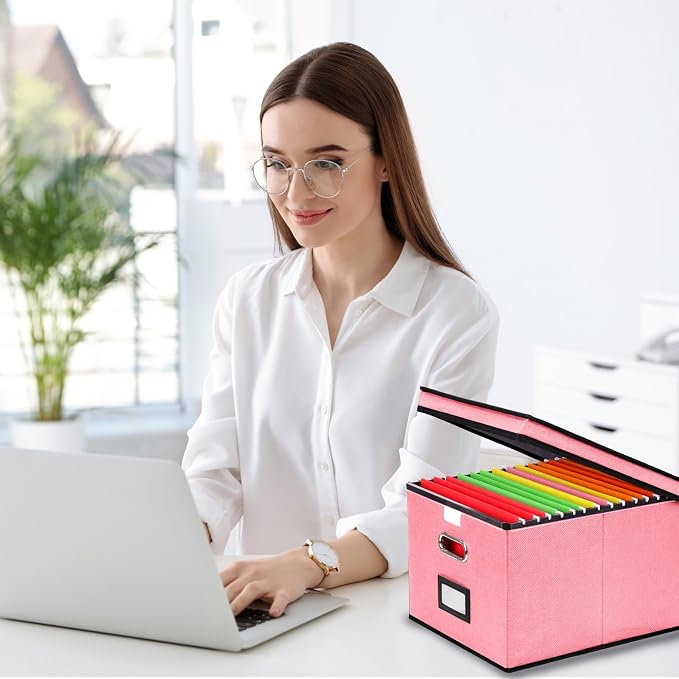 EOOUT 1 Pack File Organizer Box with Lid Hanging File Folders Letter Size Collapsible Document Organizer for Home Office (Pink)