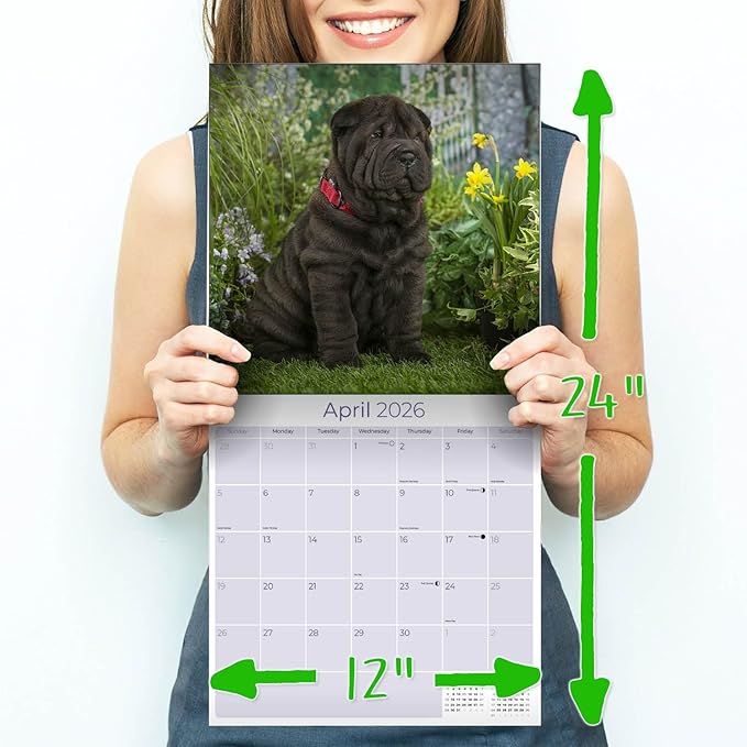 Shar Pei Calendar 2026 by MegaCalendars – Monthly Dog Breed Wall Calendar, Made in USA