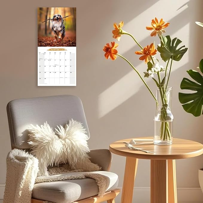 2025-2026 Wall Calendar Australian Shepherd Planner Calendar, Hangable Monthly Wall Calendar with Large Blocks for Organizing & Planning, Academic Schedule, Home, Office & family, Thick & Sturdy Paper (12"x24" Open)