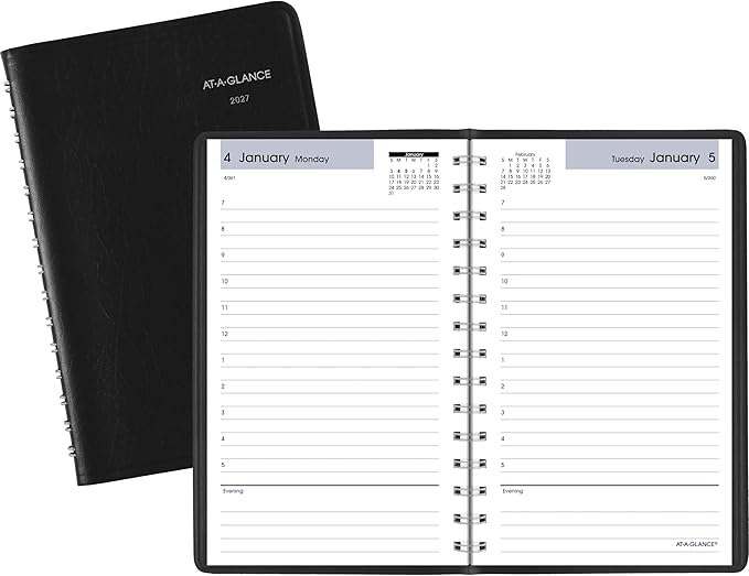 AT-A-GLANCE 2027 Appointment Book Planner, Daily, 5" x 8", Hourly, DayMinder, Black (SK440027)