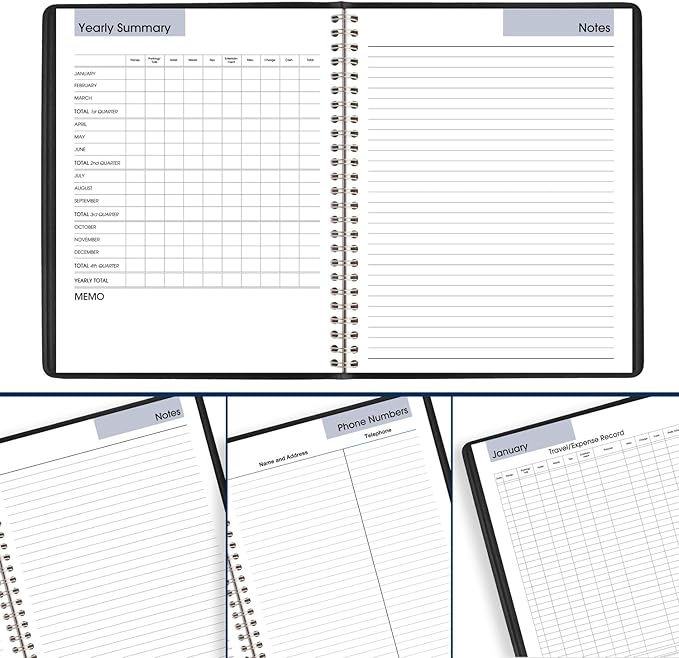 AT-A-GLANCE 2025 Planner, Monthly, 7" x 8-3/4", Medium, DayMinder, Black (G4000025)
