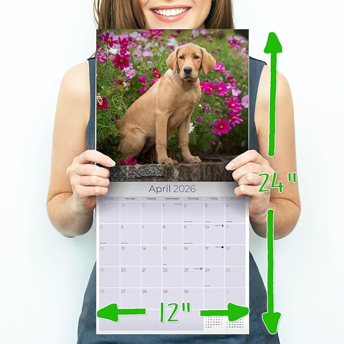 Labrador Pups Yellow Calendar 2026 by MegaCalendars – Monthly Dog Breed Wall Calendar, Made in USA
