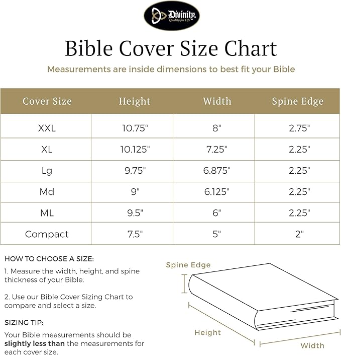 Divinity Boutique Canvas Bible Case - Black Bible Cover for Men and Women - Fabric Zippered Bag with Pockets for Compact, X-Large and XX-Large Books