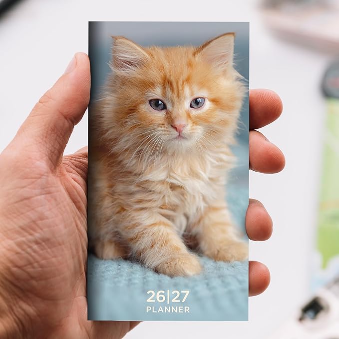 TF Publishing 2026-2027 Kitten Small Monthly Pocket Planner with 2 Page Large Calendar Grid and Lined Notes Section - 2 Year Pocket Calendar 2026-2027 Perfect for Purse - 3.5in x 6.5in