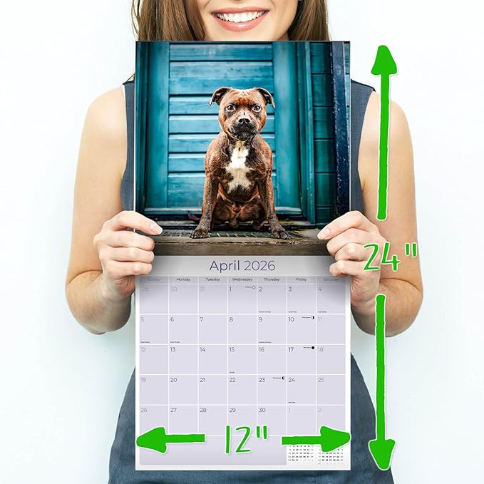 Staffordshire Bull Terrier Calendar 2026 by MegaCalendars – Monthly Dog Breed Wall Calendar, Made in USA