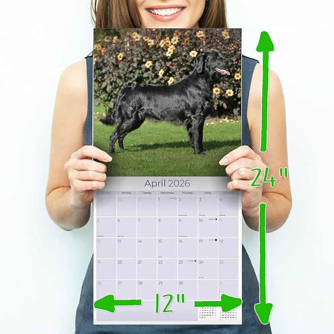 Flatcoated Retriever Calendar 2026 by MegaCalendars – Monthly Dog Breed Wall Calendar, Made in USA