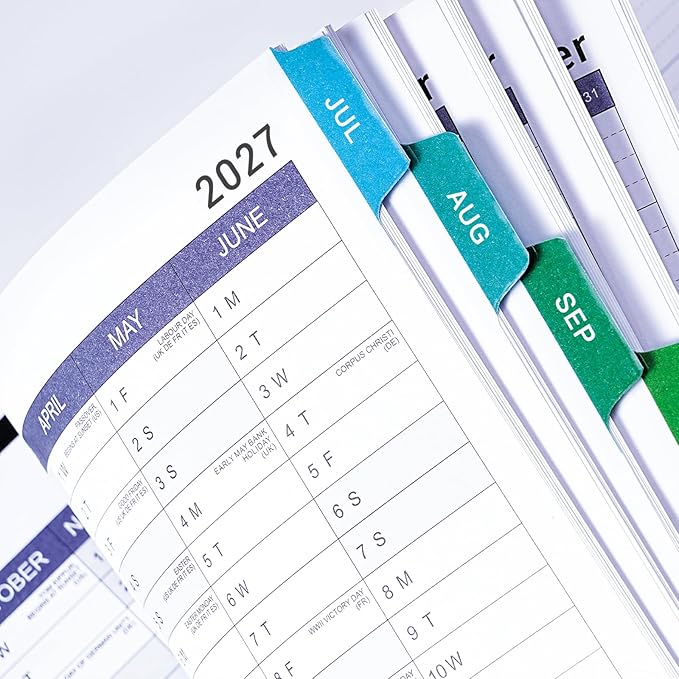Appointment Book 2026-2027 - Appointment Planner 2026-2027 from July 2026 - June 2027, 2026-27 Weekly Appointment Book with Colorful Tabs, 9" x 11", Daily/Hourly Planner, 15-Minute Increments