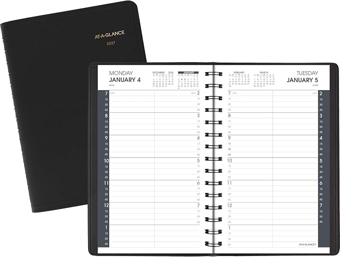 AT-A-GLANCE 2027 Appointment Book Planner, Daily, 5" x 8", Quarter-Hour, Black (708000527)