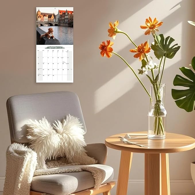 2025-2026 Wall Calendar Nova Scotia Duck Tolling Retriever Planner Calendar, Hangable Monthly Dogs Wall Calendar with Large Blocks for Organizing & Planning, Academic Schedule, Home, Office & family, Thick & Sturdy Paper (12"x24" Open)
