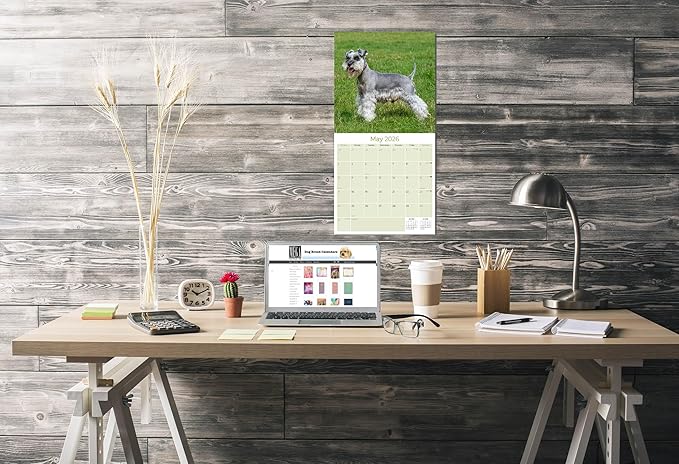 Miniature Schnauzer Calendar 2026 by MegaCalendars – Monthly Dog Breed Wall Calendar, Made in USA
