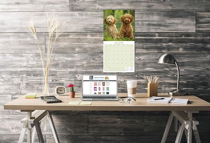 Labradoodle Calendar 2026 by MegaCalendars – Monthly Dog Breed Wall Calendar, Made in USA
