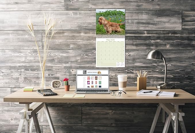 English Cocker Spaniel Calendar 2026 by MegaCalendars – Monthly Dog Breed Wall Calendar, Made in USA
