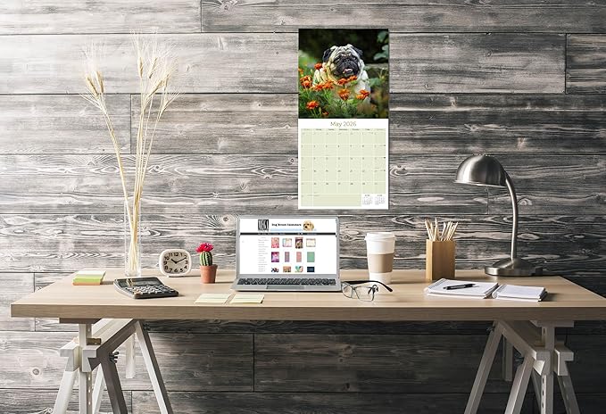 Pug Calendar 2026 by MegaCalendars – Monthly Dog Breed Wall Calendar, Made in USA