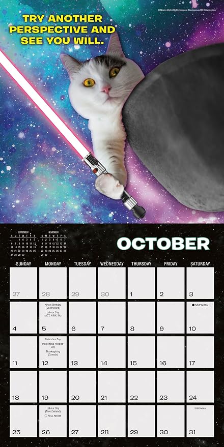 Cat Wars 2026 Mini Wall Calendar: Funny Cat Photography & Humor Parody Calendar for Cat Lovers, 7" × 7"