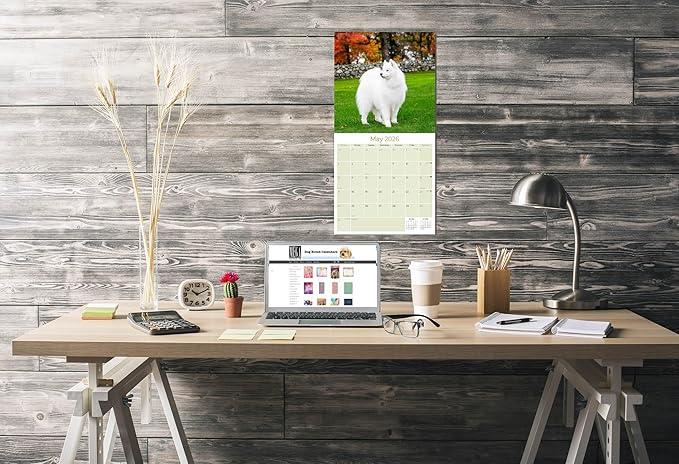 Samoyed Calendar 2026 by MegaCalendars – Monthly Dog Breed Wall Calendar, Made in USA
