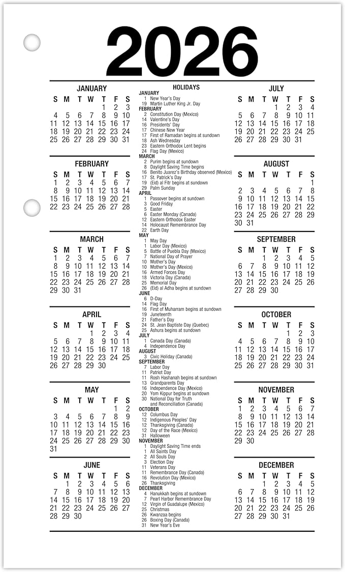 AT-A-GLANCE 2026 Desk Calendar Refill, Daily, 3.5" x 6", Standard, Loose-Leaf (E717T5026)