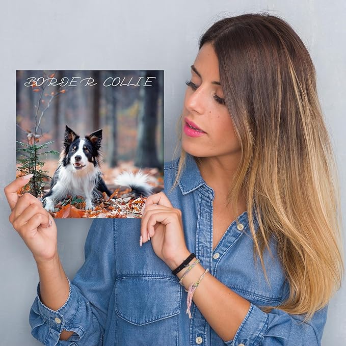 2025-2026 Wall Calendar,Border Collie Wall Calendar, 12" x 24" Open,Family Planner Calendar Organizer withBorder Collie Images, for Dogs Lovers