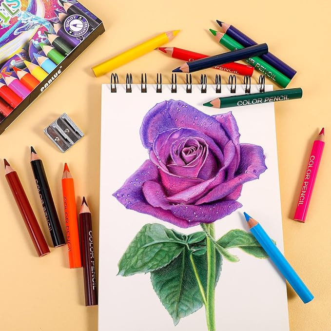 Triangular Jumbo Color Pencils, Short Fat Pre-Sharped Colored Pencils with Pencil Sharpener and Eraser,Gift for Student Drawing and Doodling(12 Colors)
