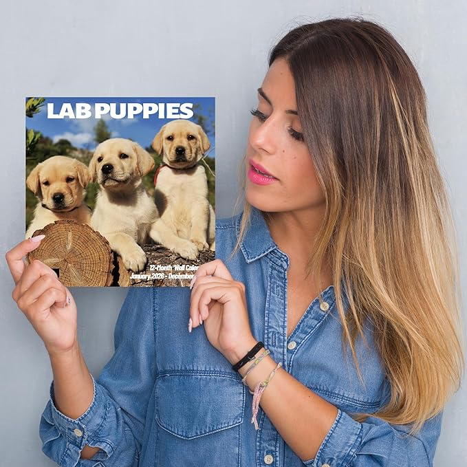 Lab Puppies 2026 Wall Calendar | 12" x 24" Open Hangable Monthly | Thick & Sturdy Paper | Cute Labrador Dog | Family Planner Calendar