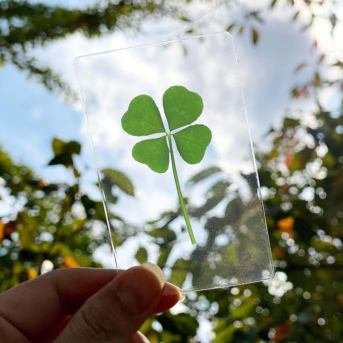 Real Four Leaf Clover Good Luck Charm - Bookmark Gift for Book Lovers - 4 Leaf Clover Symbolizing Hope, Faith, Love & Luck - Lamination for Long Lasting Luck - 3.37" x 2.13" (2 Pack)
