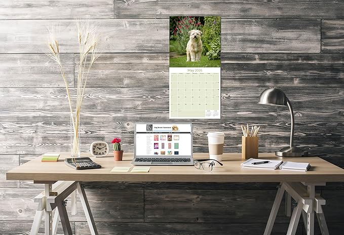 Tibetan Terrier Calendar 2026 by MegaCalendars – Monthly Dog Breed Wall Calendar, Made in USA