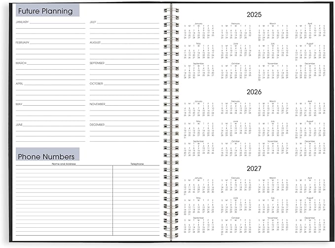 AT-A-GLANCE 2026 Planner, Monthly, 8" x 12", Large, DayMinder, Black (SK20026)