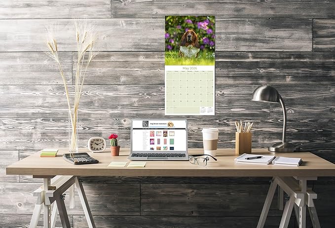 Basset Hound Calendar 2026 – 16-Month Dog Breed Wall Calendar by MegaCalendars – Large Daily Blocks, Thick No-Bleed Paper, Made in USA