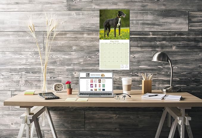 Greyhound Calendar 2026 by MegaCalendars – Monthly Dog Breed Wall Calendar, Made in USA