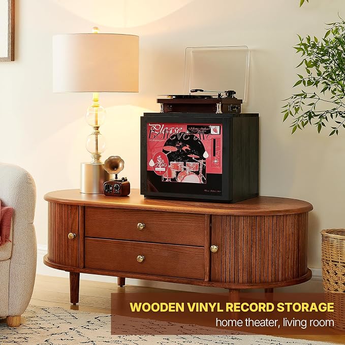 DGWJSU Vinyl Record Storage, Record Storage Box Holds 120 Records, Wooden Vinyl Holder Display Window(7″/10″/12″), Vinyl Storage For Music Corners, Display Collections, Home Theaters, Living Rooms