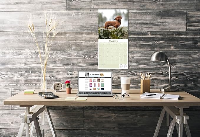 Dachshund Calendar 2026 by MegaCalendars – Monthly Dog Breed Wall Calendar, Made in USA