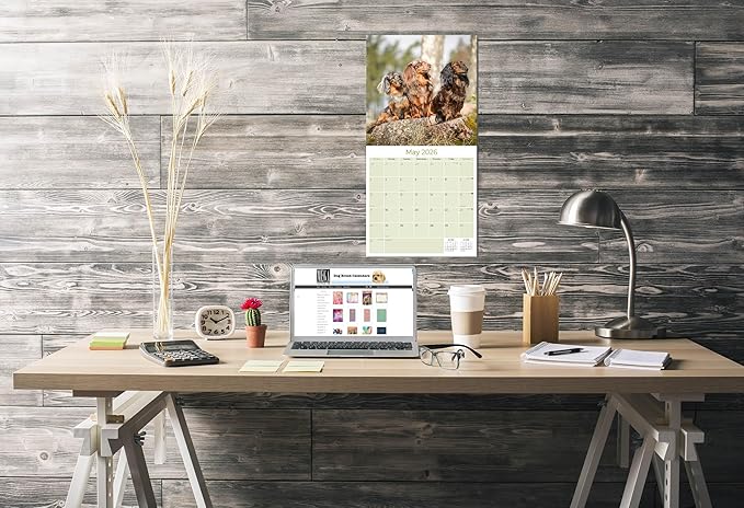 Longhaired Dachshund Calendar 2026 – 16-Month Dog Breed Wall Calendar by MegaCalendars – Large Daily Blocks, Thick No-Bleed Paper, Made in USA