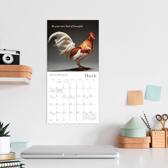 Glamour Chicks 2026 Mini Wall Calendar: Funny Chicken Photography & Farm Animal Art with Glamorous Portraits, 7" × 7"